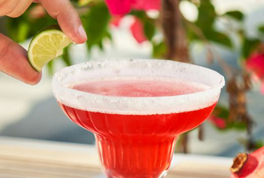 FY24_Tails_US_B2C_PomengranateMargarita_withSalt_Lifestyle_2